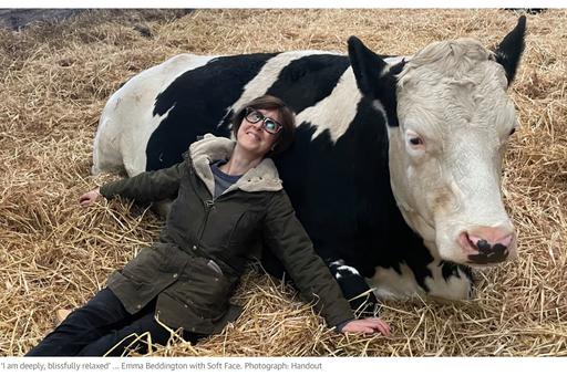 Британцы предлагают избавляться от стресса, обнимая коров