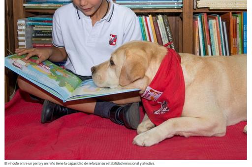 Собаки помогают обучать чтению больных детей в Испании
