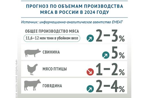 Эксперты «ВиЖ» дали прогноз на 2024 год по объемам производства мяса в России