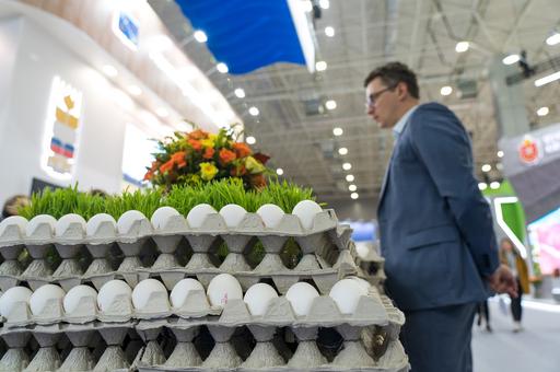 Ленинградская область стала лидером в РФ по производству яиц