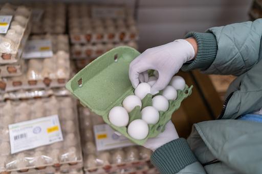 Минсельхоз ожидает стабилизации цен на куриные яйца в течение месяца