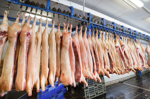 Экспорт российской свинины в Китай по итогам года может превысить 50 тыс. тонн