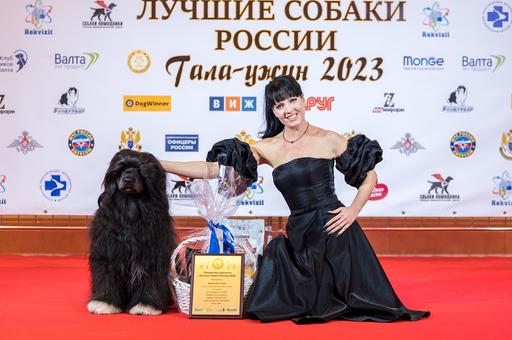 Лучших собак России назовут в феврале в Москве