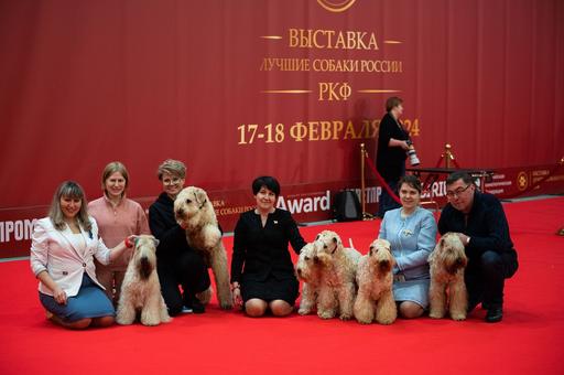 Фоторепортаж: выставка «Лучшие собаки России»