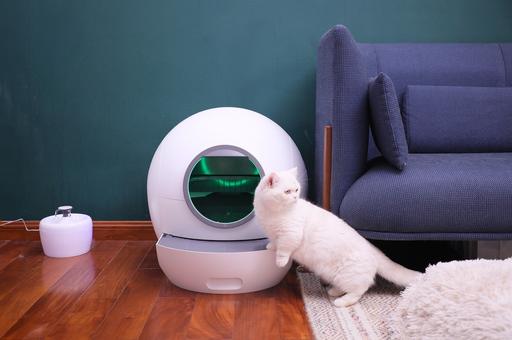 AmiCura cura1: умный туалет с автоматической дверцей люка, обеспечивающей безопасность кошки