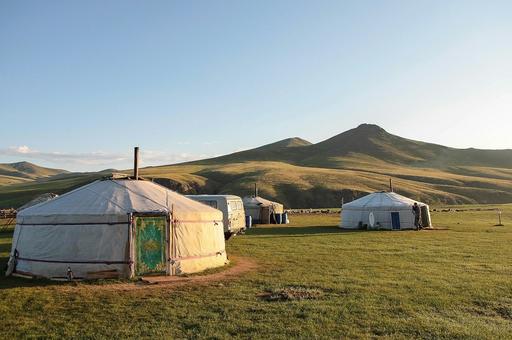 Бурятия отправила первую партию кормового зерна для поддержки монгольского животноводства