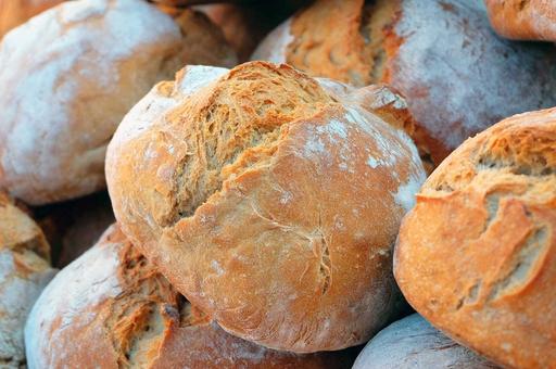 Резидент «Сколково» печет хлеб из мух