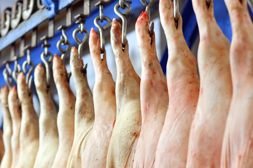 Россия поставила в Китай более 10 тыс. тонн свиноводческой продукции