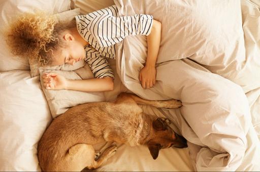 Ученые рекомендуют не спать с собаками в одной комнате