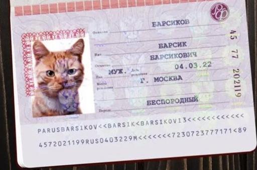 На маркетплейсах начали продавать паспорта для кошек и собак