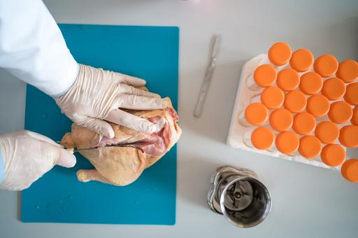 Ученые ВГНКИ выявили антибиотики в исследованной курятине