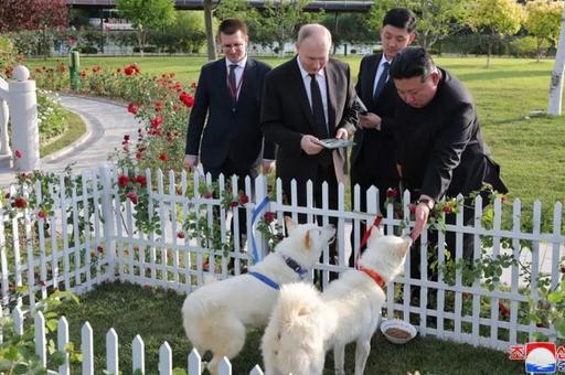 Ким Чен Ын подарил Владимиру Путину собак породы пхунсан
