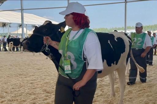 Конкурс красоты среди коров провели в Татарстане