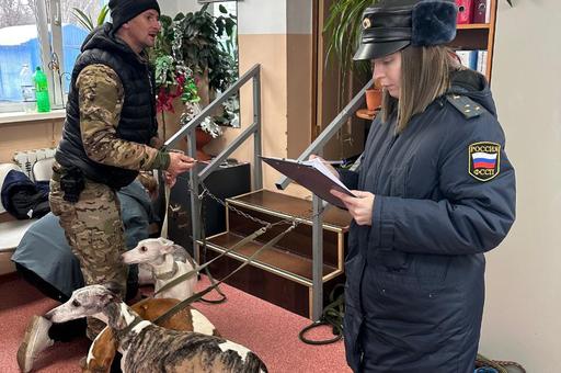 Приставы забрали у пенсионерки 16 собак из-за вони в подъезде