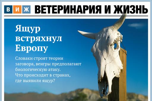 Новый выпуск «ВиЖ»: ящур встряхнул Европу, сельдь и ее конкуренты, фальсификаторов — под суд