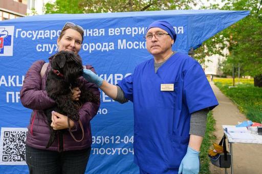 Пункты вакцинации начали работать в Москве рядом с выгульными площадками