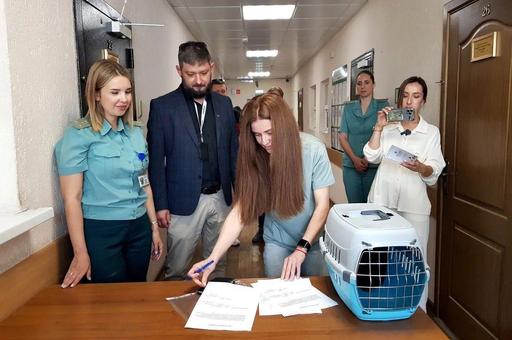 Новороссийские таможенники приютили турецкого кота Бурака