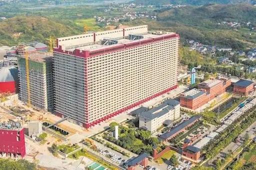 В Китае начали выращивать свиней в 26-этажных небоскребах