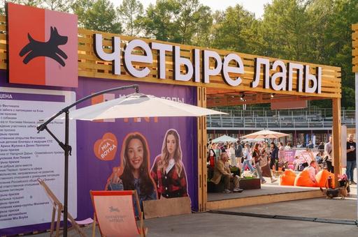 Журнал «Питомцы» приглашает на кинопробы на фестивале «Четыре Лапы Фест»
