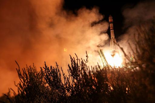 Чипированных мышей отправили в космос 