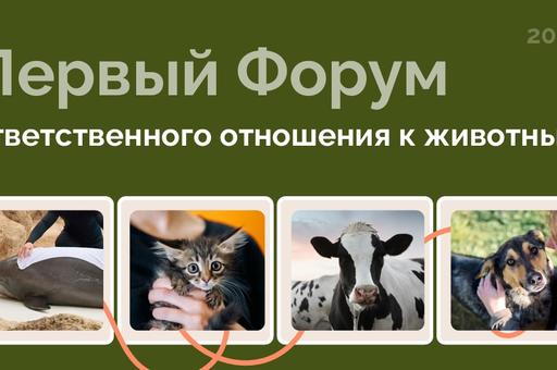 Москва примет Первый Всероссийский форум по ответственному отношению к животным и вручение премии в сфере зоозащиты