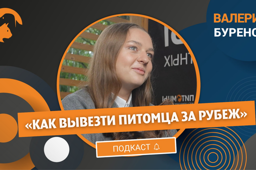 Эксперт назвала страны, куда сложнее всего попасть на отдых с питомцем
