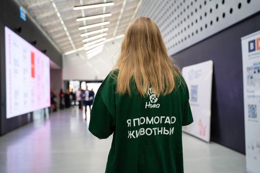ГК ВИК и фонд «Ника» объединили усилия ради бездомных животных