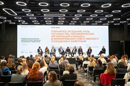 Всероссийскую ассоциацию приютов и зоозащитных организаций предложили создать в РФ