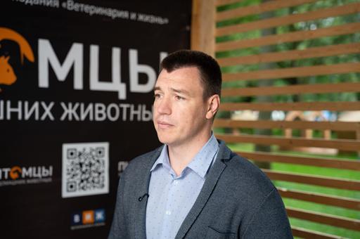 Как распознать и лечить сахарный диабет у домашних животных
