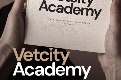 Vetcity Academy: образование, построенное на доверии, опыте и ценностях