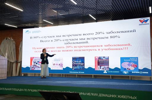 Первый в Москве онкоцентр для питомцев: полный цикл помощи и уникальные хирурги