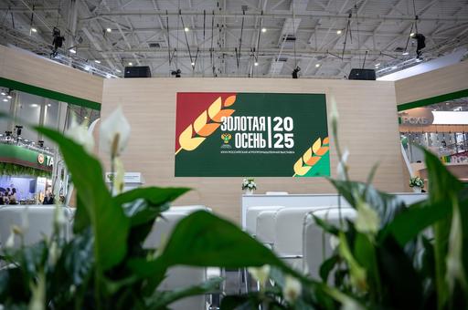 Рынок кормов для питомцев в России вырос до 355 млрд рублей