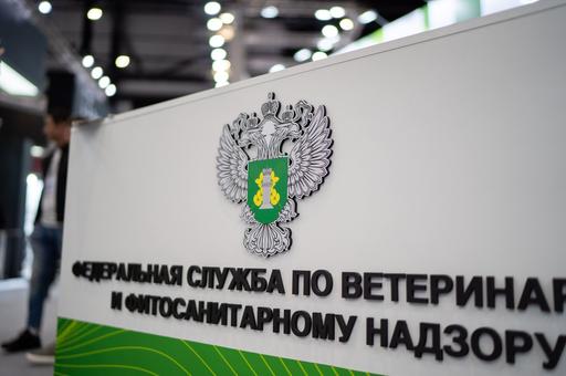 Россельхознадзор: «Меркурий» работает в штатном режиме после DDoS-атаки