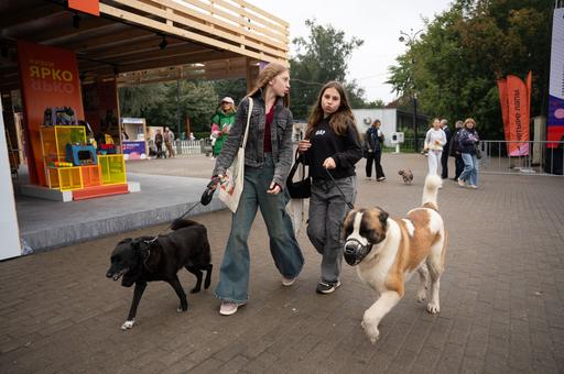 Как Россия готовится к внедрению стандартов pet-friendly