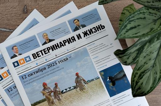 Вышел новый выпуск газеты «Ветеринария и жизнь»: что в номере?