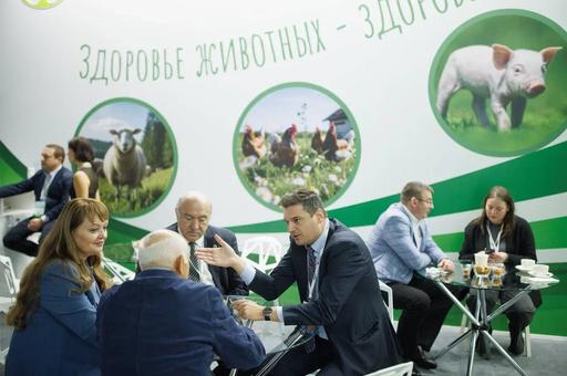 «КормВетГрэйн Экспо — 2025»: когда выставка собирает лидеров кормовой и ветеринарной отрасли