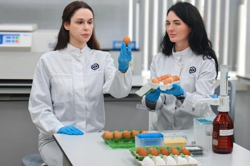 День яйца: как выбирать и хранить этот «суперфуд»