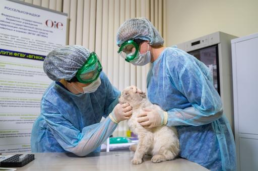 Центр компетенций зооветеринарной отрасли создан в странах БРИКС