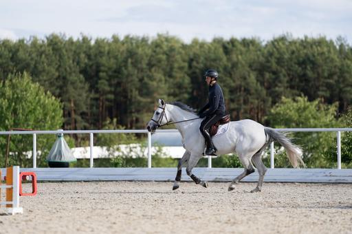 Тренеров-наездников начнут готовить в колледже Московской ветеринарной академии