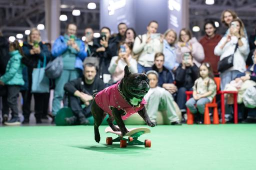 Названы победители выставки «Евразия-2025»