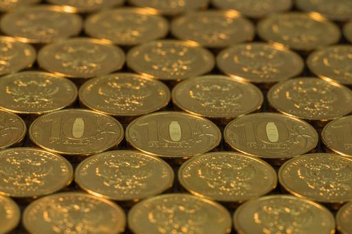 Главу фонда помощи животным на Сахалине осудили за присвоение 4 млн рублей