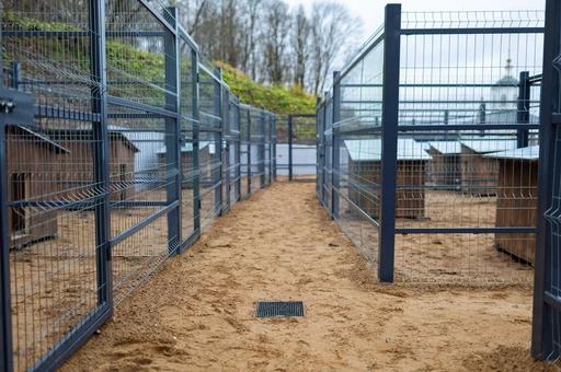 Первый пункт содержания безнадзорных животных с бешенством открыли в Смоленске 