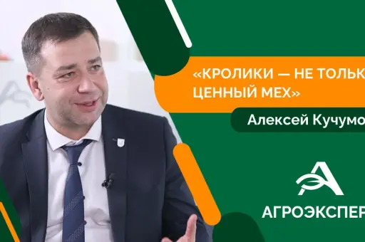 Смоленская область обеспечивает 60% производства крольчатины в России