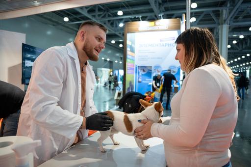 Иммунотерапия в ветеринарной онкологии практически не развита — эксперт