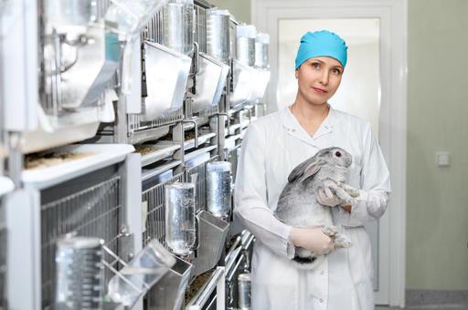 Доклинические исследования ветпрепаратов: как работает современный российский виварий