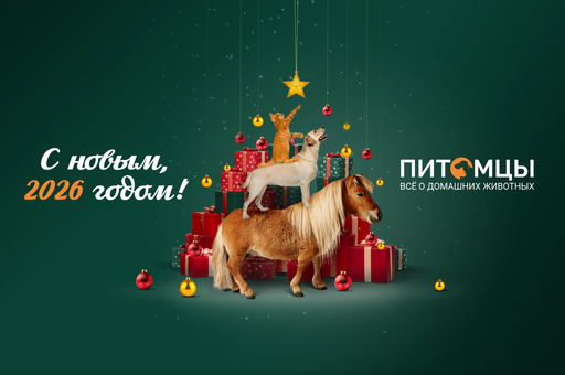 Поздравляем с Новым годом!