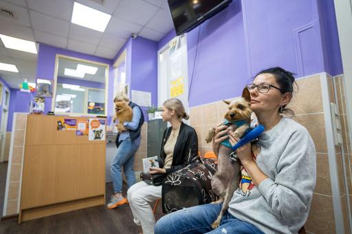 Глава Национальной ветеринарной палаты усомнилась в эффективности лицензирования клиник для домашних животных