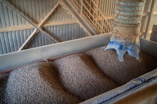 Производство комбикормов в РФ растет на фоне увеличения поголовья свиней и птицы