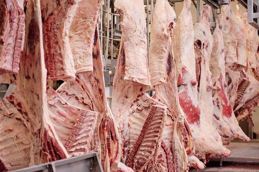 Польша подозревает диверсию с АЧС в главном свиноводческом регионе