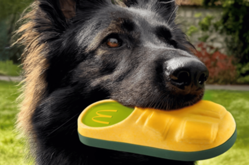 «Хэппи мил» для питомцев: McDonald’s во Франции заменил игрушки для детей на мячики для собак